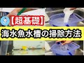 【海水魚水槽の掃除】人工海水の作り方から必要なメンテナンスを解説