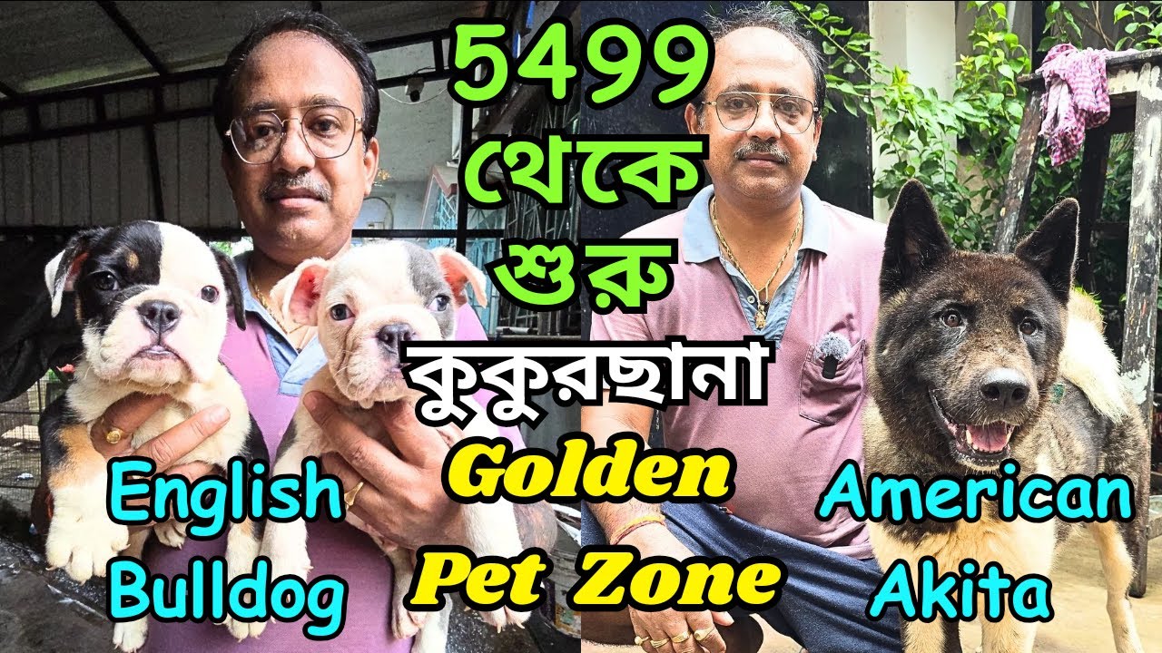 Best Dog Kennel in Kolkata । Home Breed Puppies Sell । Dog Market in Kolkata YouTube