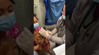 skill 13 hand pilling a dog