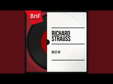 Sinfonia Domestica, Op. 53: I. Allegro & II. Scherzo