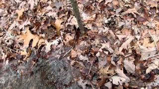 New Springhead with the Driveway Primitive