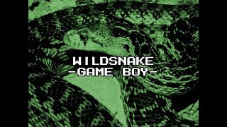 Jeu Wildsnake Pour Nintendo Game Boy - Version Originale USA, état Correct, Fonctionnel