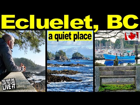 Super Quiet, Epic Nature, A Needed Getaway (Ucluelet, B.C.) Canada Road Trip - This Is How I See It