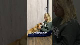 Муж улетел в отпуск и случайно закрыл меня с собакой на 2 оборота в замке 🙄7 дней не выйти #история