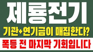 [ 제룡전기 주가전망 ] 기관 연기금이 매집한다? 폭등 전 마지막 기회입니다 !!