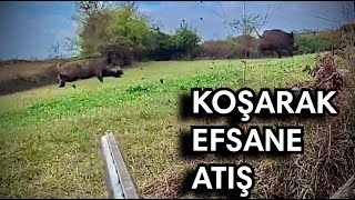 Koşarak Müthiş 2 Atış 2 Domuz Avı