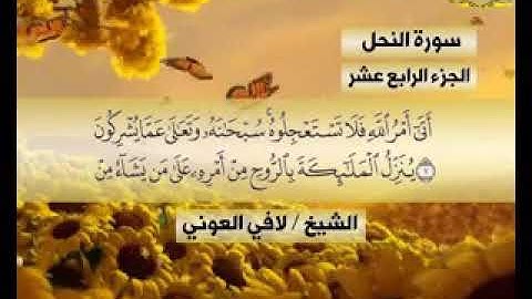 لافي العوني من أحسن التلاوات لسورة النحل