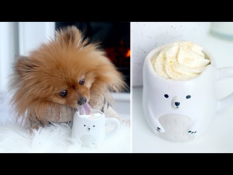 How to Make Hot "Chocolate" for Dogs...with Carob! | Carob Hot Cocoa Recipe