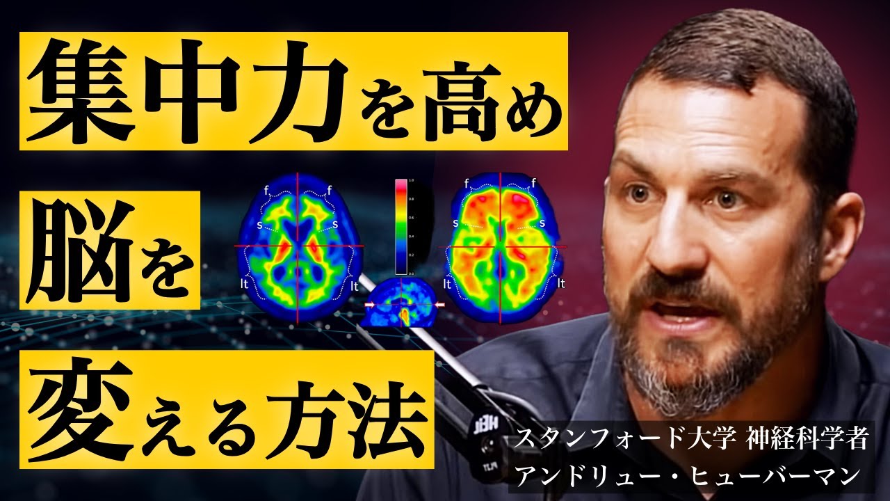 神経科学者「集中力を高める方法」「脳は変えることが可能」アンドリューヒューバーマン教授の脳科学的集中力を高めるルーティン（やる気 モチベーション 生産性向上 神経可塑性）