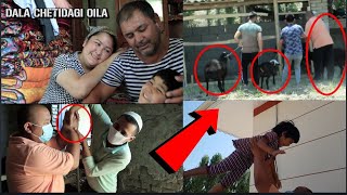 ДАЛА ЧЕТИДАГИ ОИЛАГА ИНДАМАЙ БОРГАН ПАЙТИМИЗДА ОТАБЕК АКА.....