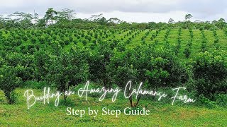 Building an Amazing Calamansi Farm: Step by Step Guide