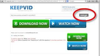 Use KeepVid.com to convert YouTube