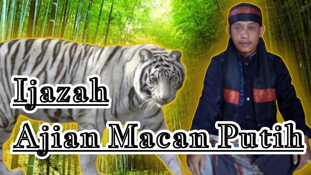 Ijazah Ajian Macan  Putih  YouTube