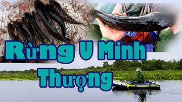 Hành trình săn cá lóc hugo tập 44