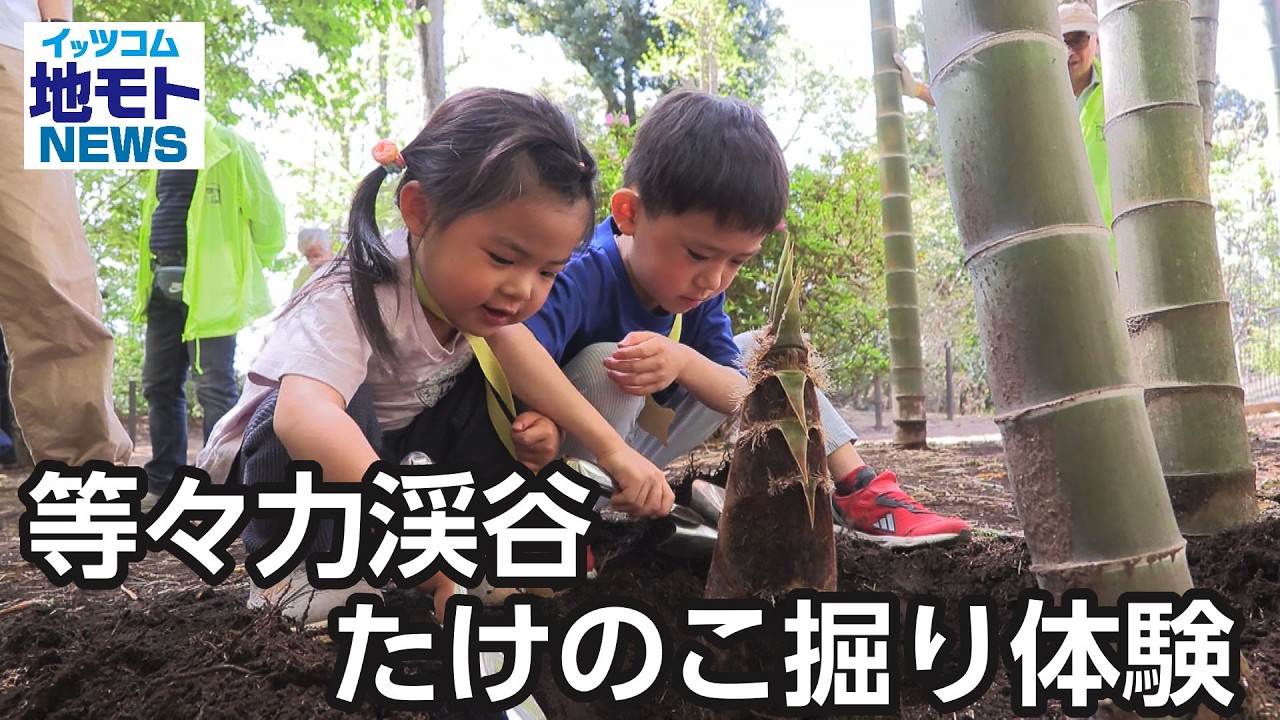 Todoroki Valley Bamboo Shoot Digging Experience [Local News] Aired