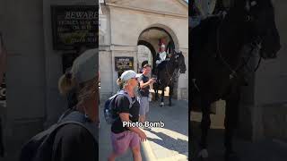 Girl Photobombs a Tourist’s Photo With the Royal Horse! 😳🐴📸❤️