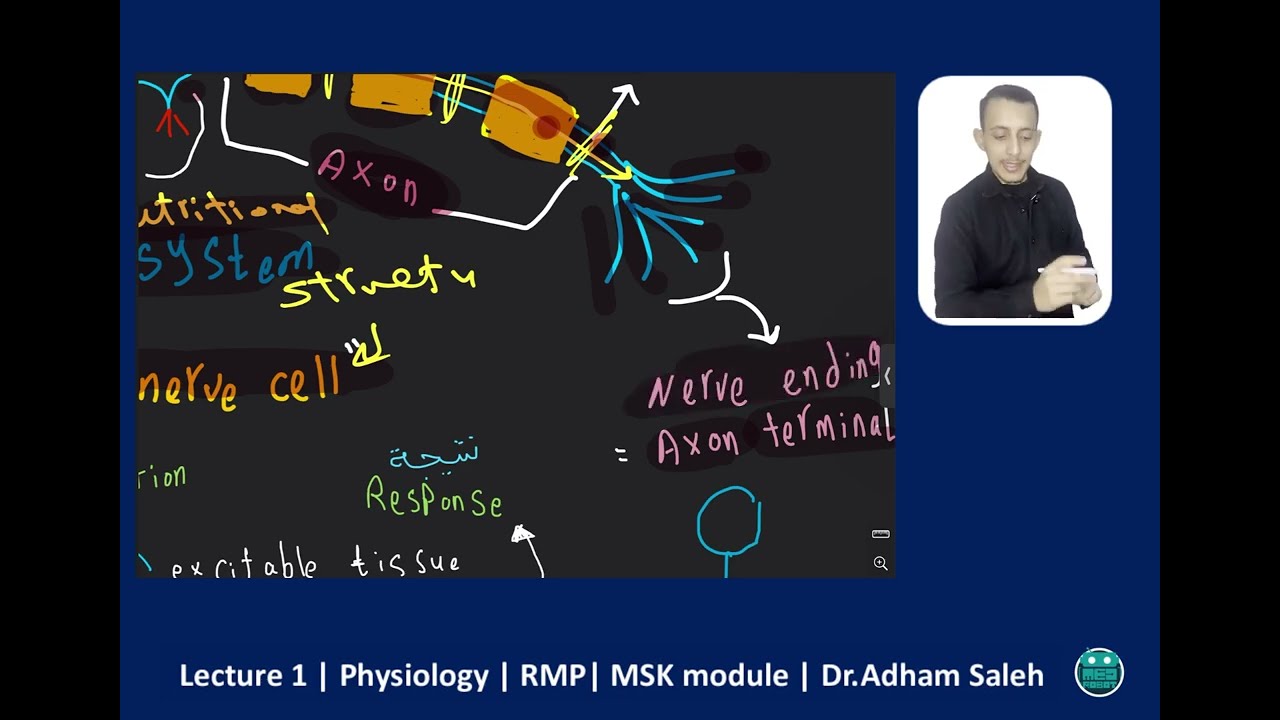 Resting membrane potential | physiology | lecture 1 | MSK module | Dr Adham Saleh | Med Robot |ipad