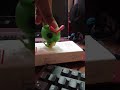 Funko Compañero Pokémon
