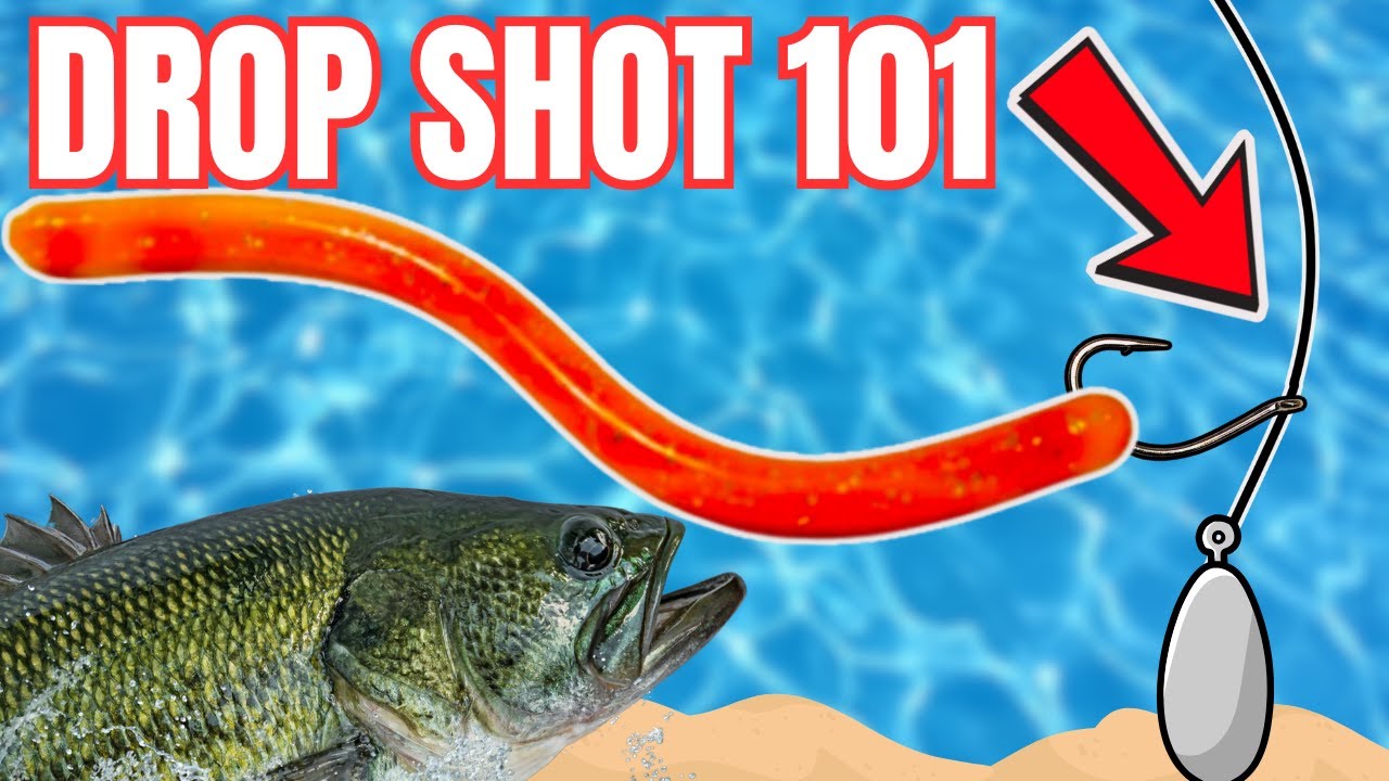 DROPSHOT Fishing GUIDE: MOST EFFECTIVE Bass Rig for BEGINNERS