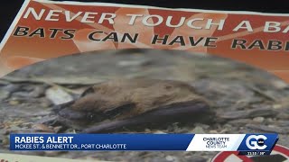 Rabies alert issued in Port Charlotte after bat tests positive