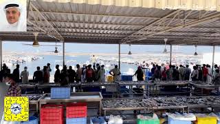مزاد سوق السمك المعيريض في راس الخيمة