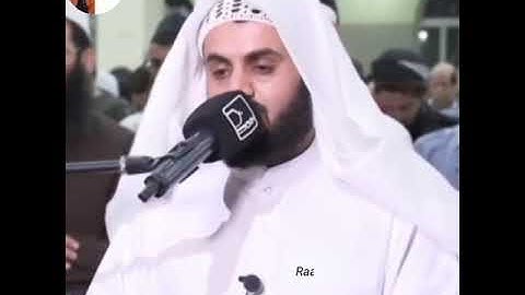 Raad Al kurdi Whatsapp status _ سورة الشعراء الشيخ رعد بن محمد الکردى