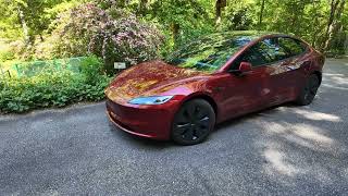 Day 2875 Tesla Ruby Visiting Friends