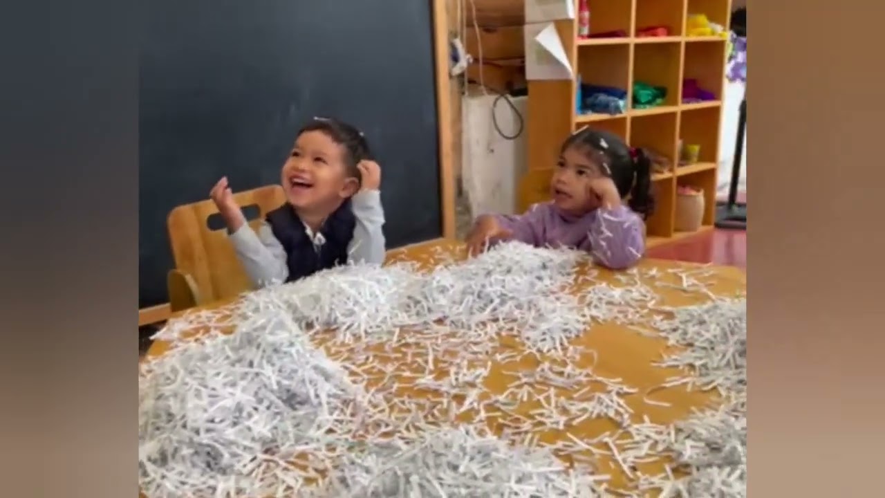 Provocaciones Reggio Emilia en Sequoia