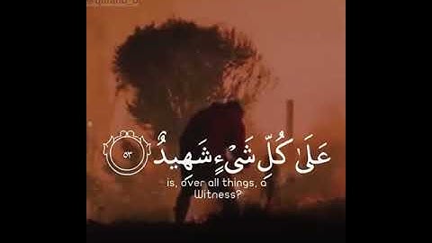 القارئ ياسر الدوسري/سورة فصلت/♥♥