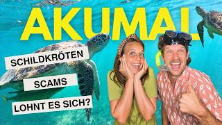 Akumal: Snorkeling with turtles in Mexico (scams, honest opinion & tips for the trip)