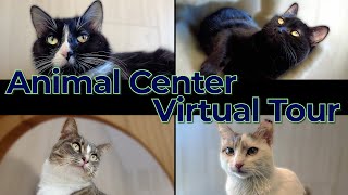 Animal Center Virtual Tour - March 16, 2023
