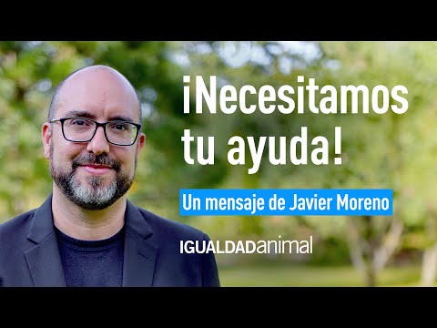 Tu AYUDA es FUNDAMENTAL contra el MALTRATO ANIMAL