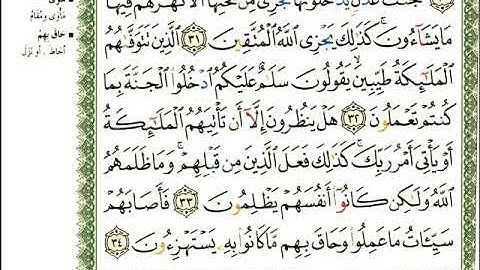 ماهر المعيقلي  سورة النحل المصحف الملون المرمز المصحف مكتوب 16