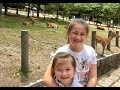 Japan Visit To Nara Deer Park Temple 東方姊妹日本行-奈良野鹿公園