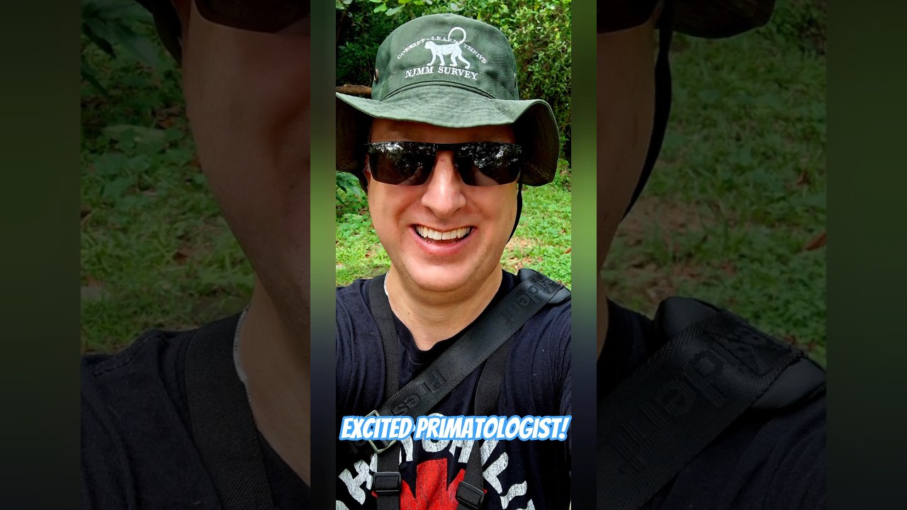 The Most Exciting Wild Monkey Observation Ever