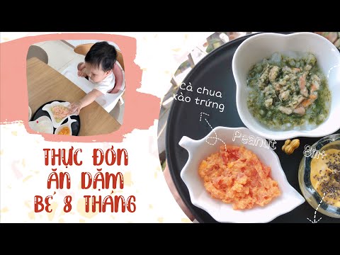 #1 Thực Đơn Ăn Dặm cho bé 8 Tháng Tuổi Tăng Độ Thô// Peanut Ăn Dặm (Tập 10) Mới Nhất