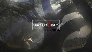 Anile - Don't Tell Me