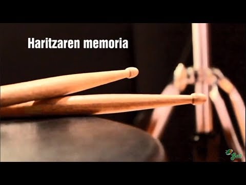 Haritzaren memoria (Beira)