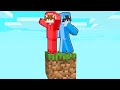 Minecraft, Pero Solo Tienes 1 Bloque!