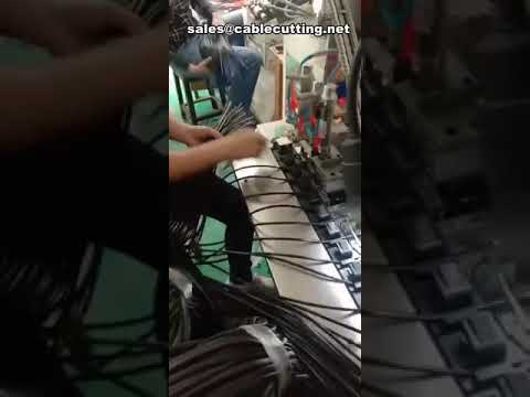 Automatic Tow Pin Plug Terminal Crimping Machine for USB Data Cable Manufacturing