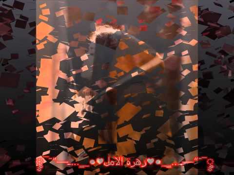 بحر الذكريات زهرة الأمل