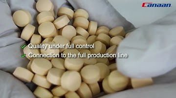 🚀 Introducing Canaan Continuous Centrifugal Coater — Revolutionizing Continuous Coating Technology!