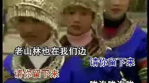 远方的客人请你留下来