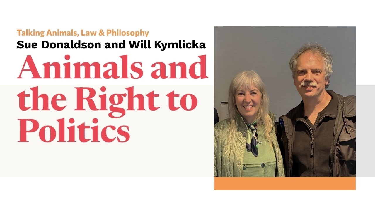Статья Сью Дональдсон и Уилла Кимлики «Животные и право на политику»