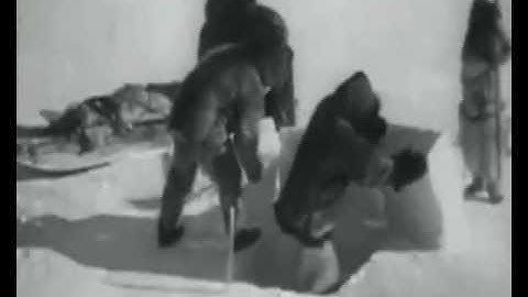 "One of us cannot be wrong", Leonard Cohen