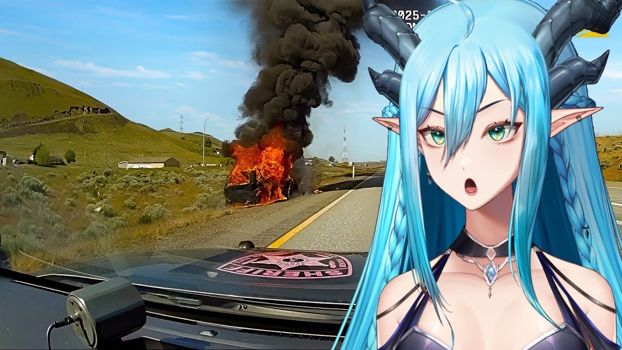 When Fleeing Police Goes Horribly Wrong (Midwest Safety React)