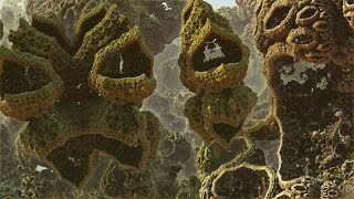 Alien Land - A Fractal Journey HD 1080p/60fps