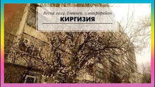 185. Киргизия. Кыргызстан. Бишкек. Весна 2024. 5 микрорайон