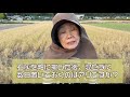 石灰を畑に撒いた後、そのまま混ぜずに置いておくのはアリ？
