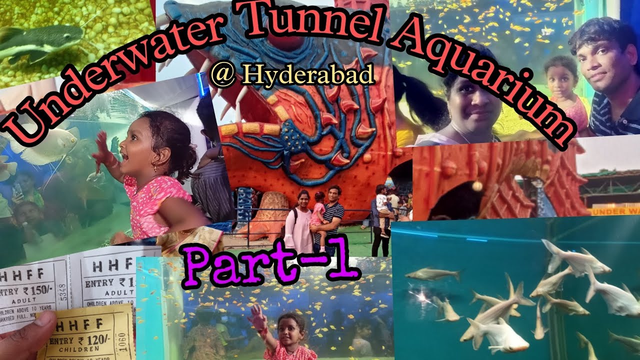 Underwater Tunnel Aquarium Hyderabad Near Y junction kphb PART1